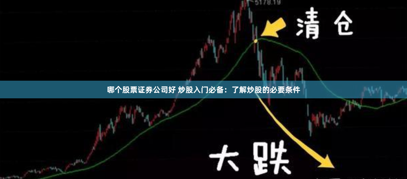 哪个股票证券公司好 炒股入门必备：了解炒股的必要条件
