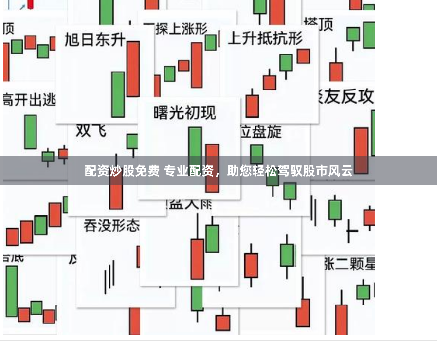 配资炒股免费 专业配资，助您轻松驾驭股市风云